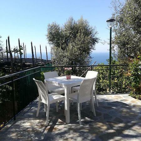 Casa Vacanza L'Ulivo Villa Sorrento Eksteriør bilde