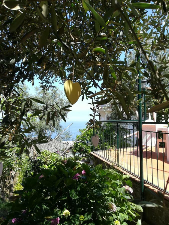 Casa Vacanza L'Ulivo Villa Sorrento Eksteriør bilde