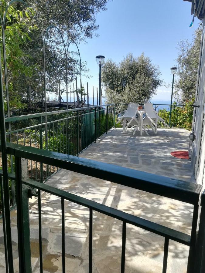 Casa Vacanza L'Ulivo Villa Sorrento Eksteriør bilde