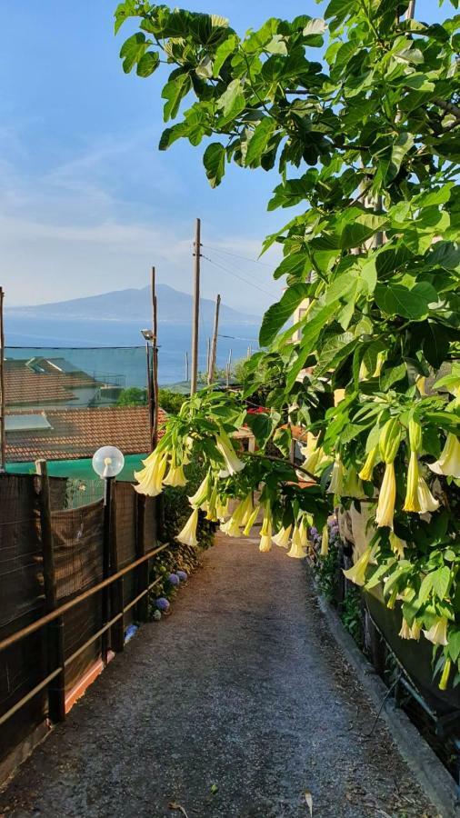 Casa Vacanza L'Ulivo Villa Sorrento Eksteriør bilde