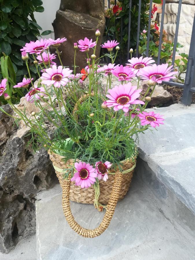 Casa Vacanza L'Ulivo Villa Sorrento Eksteriør bilde